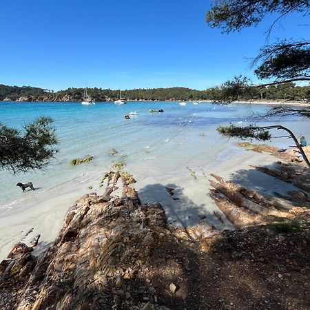 Appartement Plage Piscine Et Tennis Inclus La Londe-les-Maures ภายนอก รูปภาพ