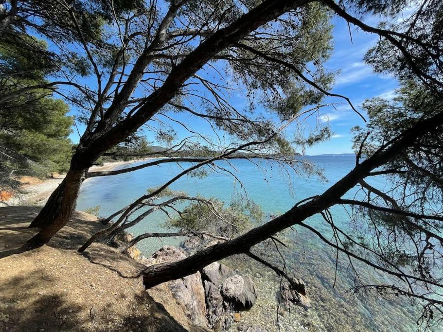 Appartement Plage Piscine Et Tennis Inclus La Londe-les-Maures ภายนอก รูปภาพ