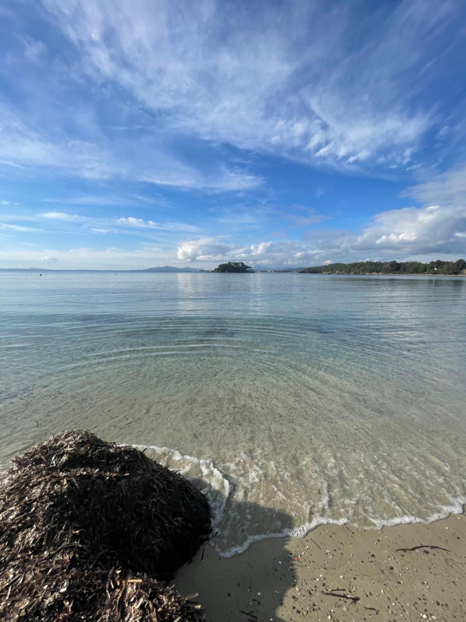 Appartement Plage Piscine Et Tennis Inclus La Londe-les-Maures ภายนอก รูปภาพ
