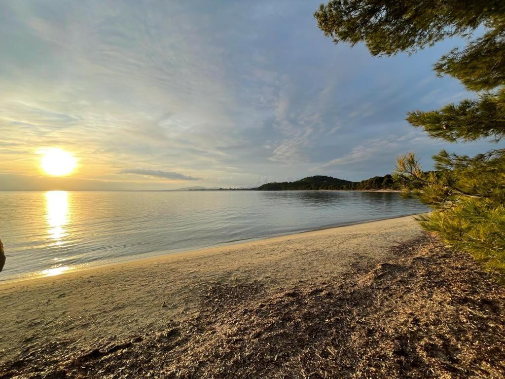 Appartement Plage Piscine Et Tennis Inclus La Londe-les-Maures ภายนอก รูปภาพ